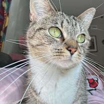 Thumbnail photo of Boobear #2