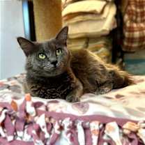 Thumbnail photo of Margaret Mary #1