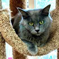 Thumbnail photo of Margaret Mary #2