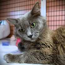 Thumbnail photo of Margaret Mary #3