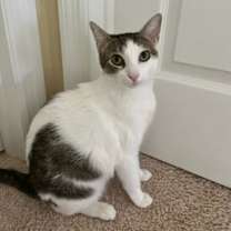 Thumbnail photo of Layla #2