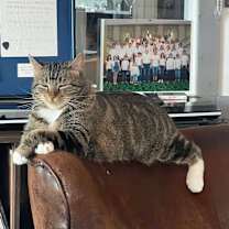 Thumbnail photo of Kitty, Queen of Sass #2
