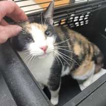 Thumbnail photo of Steffie #1