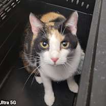 Thumbnail photo of Steffie #2