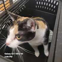 Thumbnail photo of Steffie #4