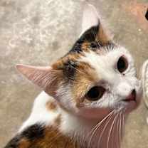 Thumbnail photo of Mia #1