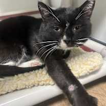 Thumbnail photo of Dave #1