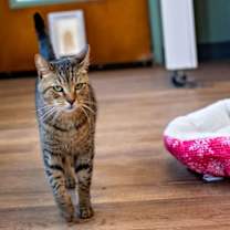 Thumbnail photo of Prince #2