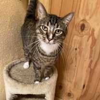 Thumbnail photo of Charlie #1