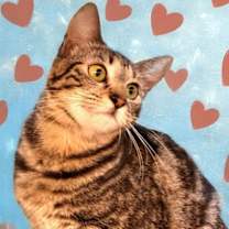Thumbnail photo of Miss Juyon at Martinez Pet Food Express  June 14 #3