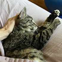 Thumbnail photo of Moses #1