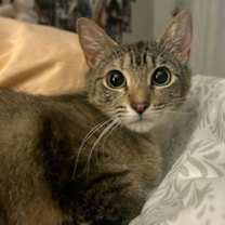 Thumbnail photo of LILLIAN #3