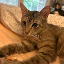 Thumbnail photo of LILLIAN #4