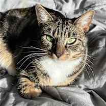 Thumbnail photo of Arla #1