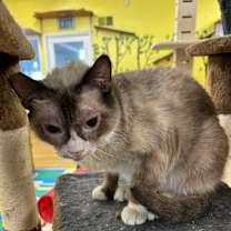 Thumbnail photo of Stevie #2