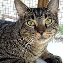 Thumbnail photo of Shirley #1