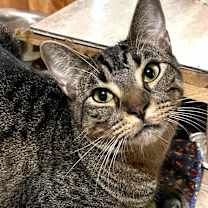 Thumbnail photo of Shirley #2