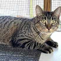 Thumbnail photo of Shirley #3