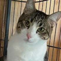 Thumbnail photo of Lenny #1