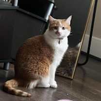 Thumbnail photo of KIDA (COURTESY POST) #1