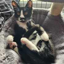 Thumbnail photo of Janet #3