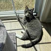 Thumbnail photo of Maggie #3