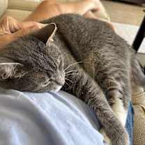 Thumbnail photo of Maggie #4