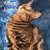 Thumbnail photo of Miss Juyon at Martinez Pet Food Express  June 14 #4