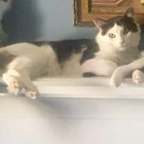 Thumbnail photo of G.W. #2