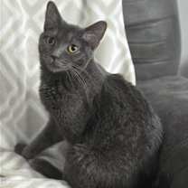 Thumbnail photo of BABY BOY #1