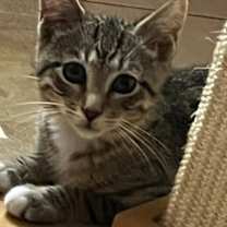Thumbnail photo of Barry #4
