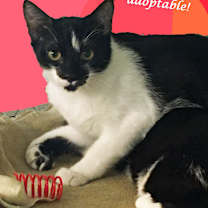 Thumbnail photo of GILLIAN #3