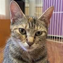 Thumbnail photo of Kulia #1