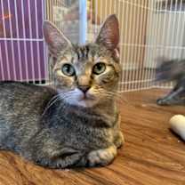 Thumbnail photo of Kulia #3