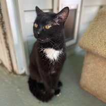 Thumbnail photo of Eclipse #3