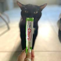 Thumbnail photo of Eclipse #4