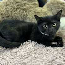 Thumbnail photo of Clarice baby #4