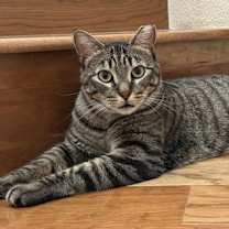 Thumbnail photo of jules #1