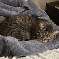 Thumbnail photo of jules #2