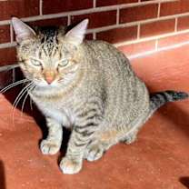 Thumbnail photo of MAMA MARIBEL #3