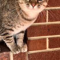 Thumbnail photo of MAMA MARIBEL #4