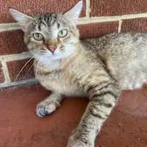 Thumbnail photo of MAMA MARIBEL #2