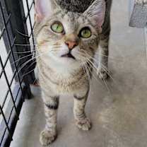 Thumbnail photo of TK #2