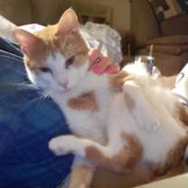 Thumbnail photo of Ernie #4