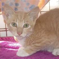 Thumbnail photo of Sam #1