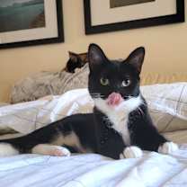 Thumbnail photo of Lilah #1