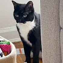 Thumbnail photo of Lilah #3