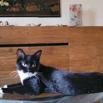 Thumbnail photo of Lilah #4