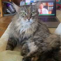 Thumbnail photo of Rosa #3