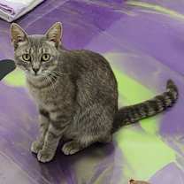 Thumbnail photo of Margo #1